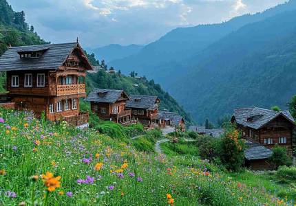 Chandigarh to Dalhousie Wildlife Tour