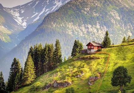 Chandigarh to Dalhousie Wildlife Tour