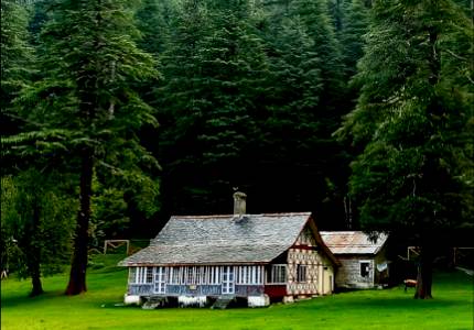 Chandigarh to Dalhousie Wildlife Tour