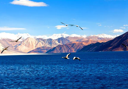Amritsar to Ladakh: The Ultimate Adventure Tour
