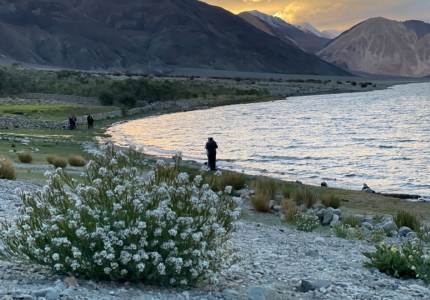 10-Day Ladakh Expedition from Chandigarh