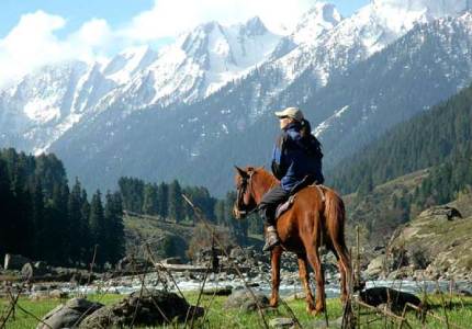 Jammu Taxi Service