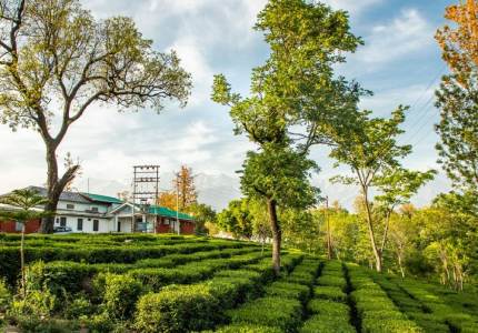 Amritsar Dharamshala Palampur