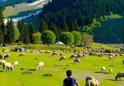 9 Days Kashmir Grand Tour from Chandigarh
