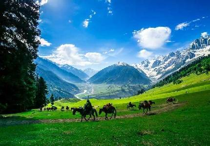 Srinagar Taxi Service