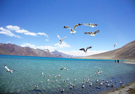 10-Day Ladakh Expedition from Chandigarh