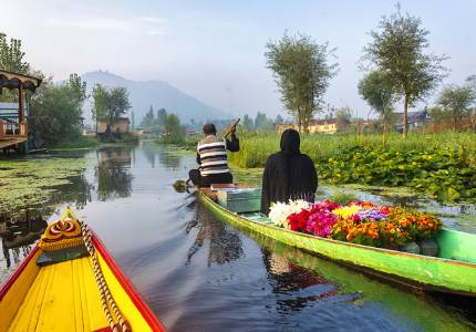 5 Days in Paradise: Chandigarh to Srinagar